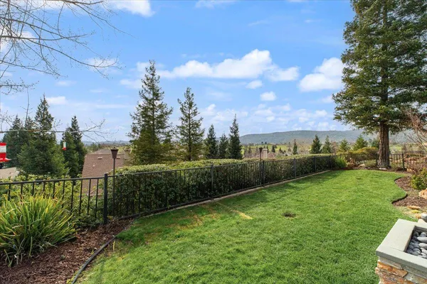 a view of a garden with a bench in a garden