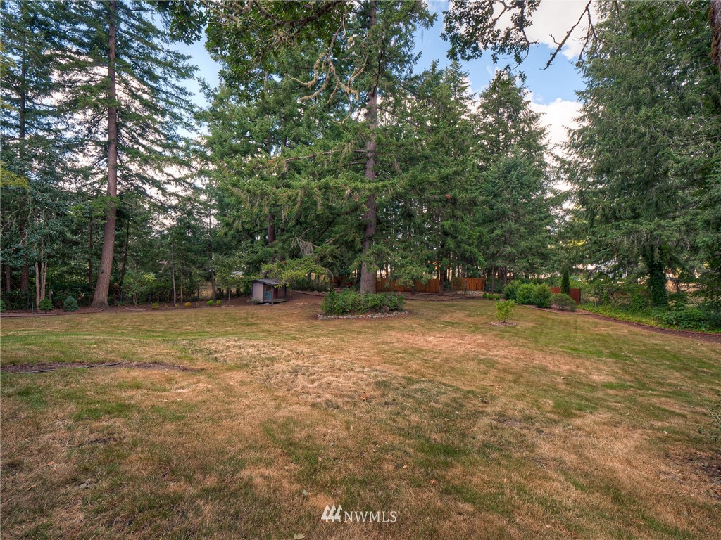 985 Tipsoo Loop North Rainier, WA 98576 - Photo 5 of 21 Gallery Image 5