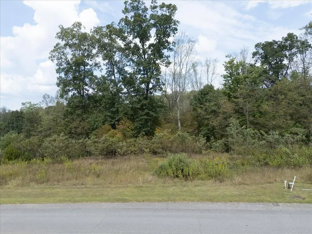 $164,000 | Lot 21 Watchtower Drive, Moneta, VA 24121
