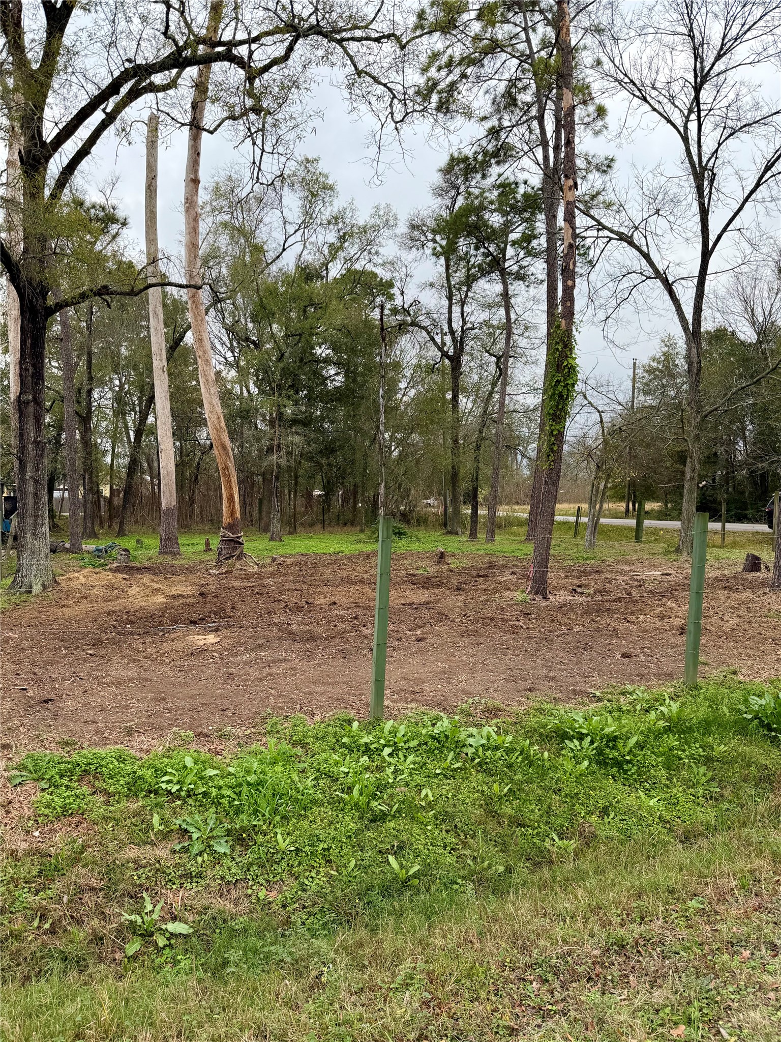 a backyard of a house with lots of green space and trees
