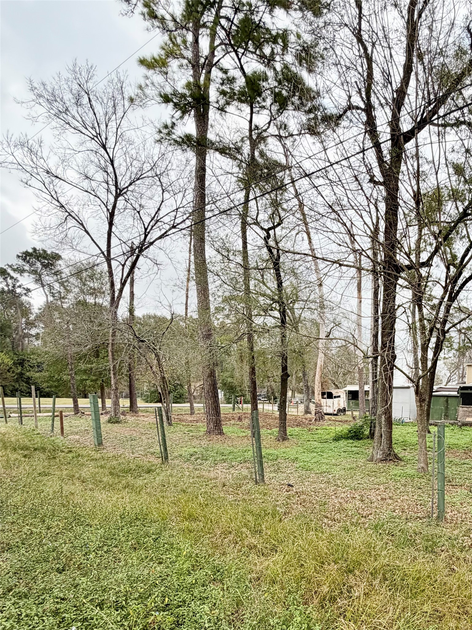 0 Parker Road Houston, TX 77076 - Photo 2 of 6 a view of a yard with a tree