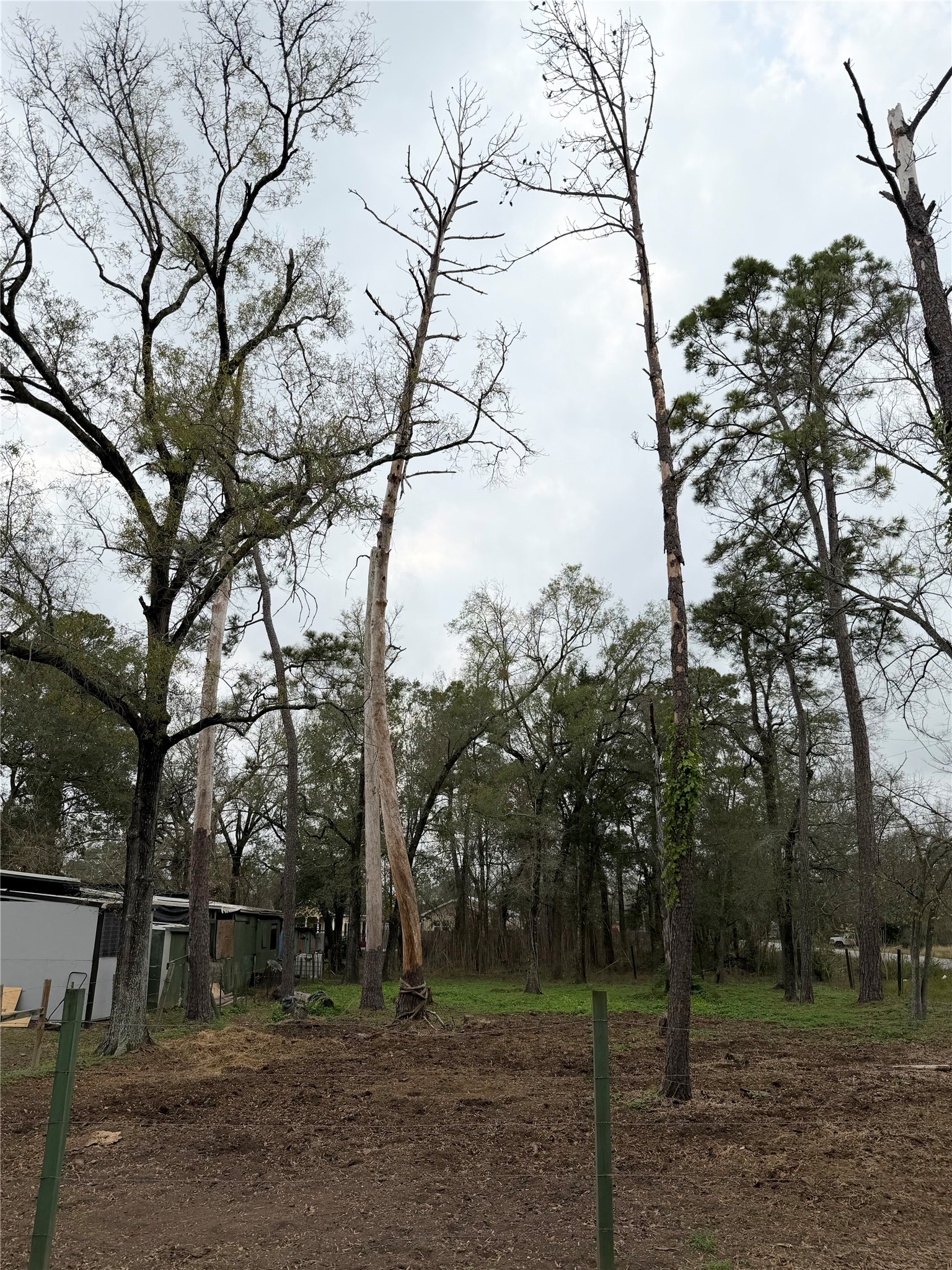 0 Parker Road Houston, TX 77076 - Photo 3 of 6 a backyard of a house with lots of trees