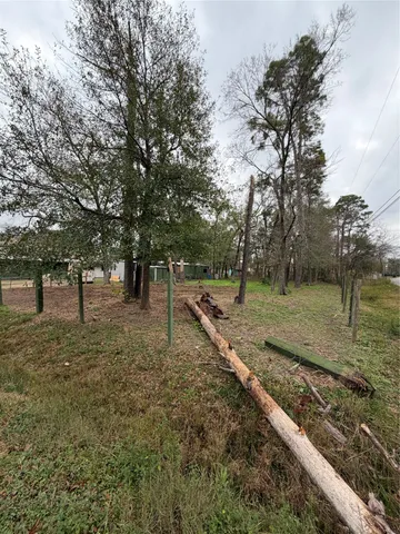 a view of a park with large trees