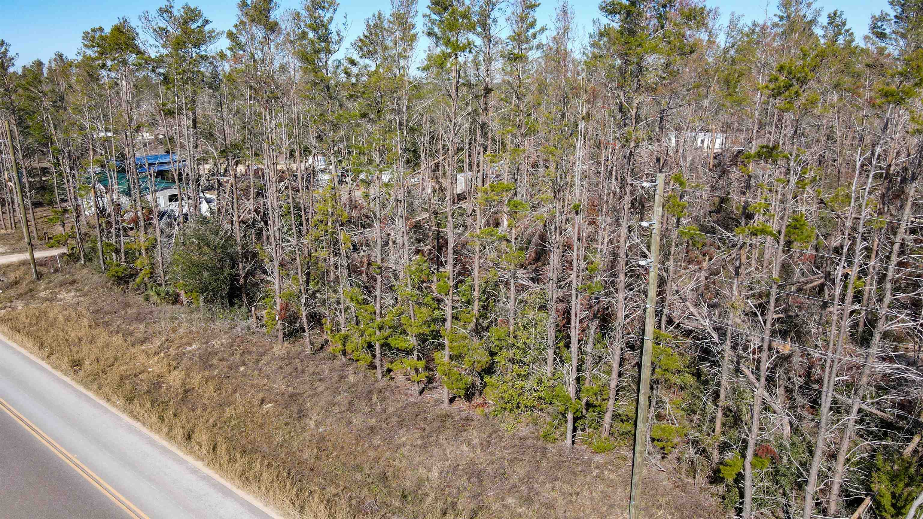 Vacant Sea Meadows Drive Perry, FL 32348 - Photo 13 of 16