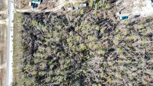 $49,900 | Vacant Sea Meadows Drive, Perry, FL 32348