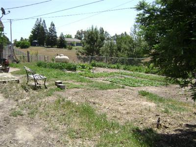 16901 Monreal Road Madera, CA 93636 - Photo 13 of 14 Gallery Image 13
