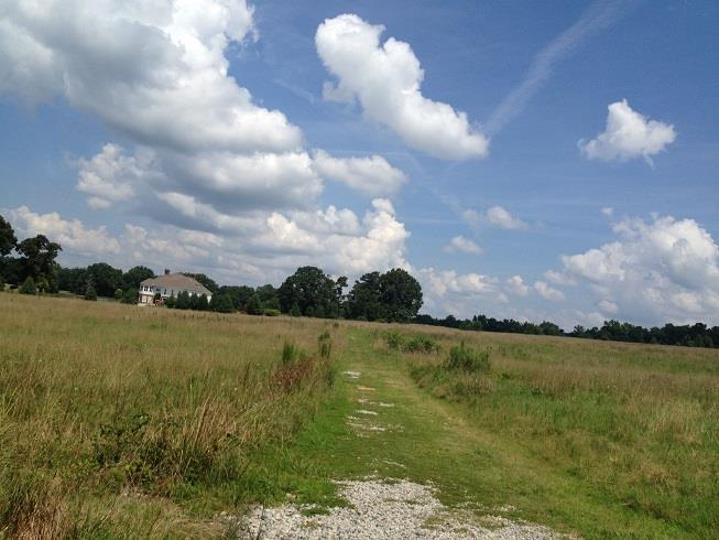 7 Mask Road, Unit LOT 7 Brooks, GA 30205 - Photo 1 of 1
