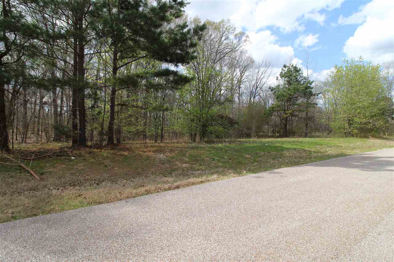 0 Grove Road Collierville, TN 38017 - Photo 2 of 23 Gallery Image 2
