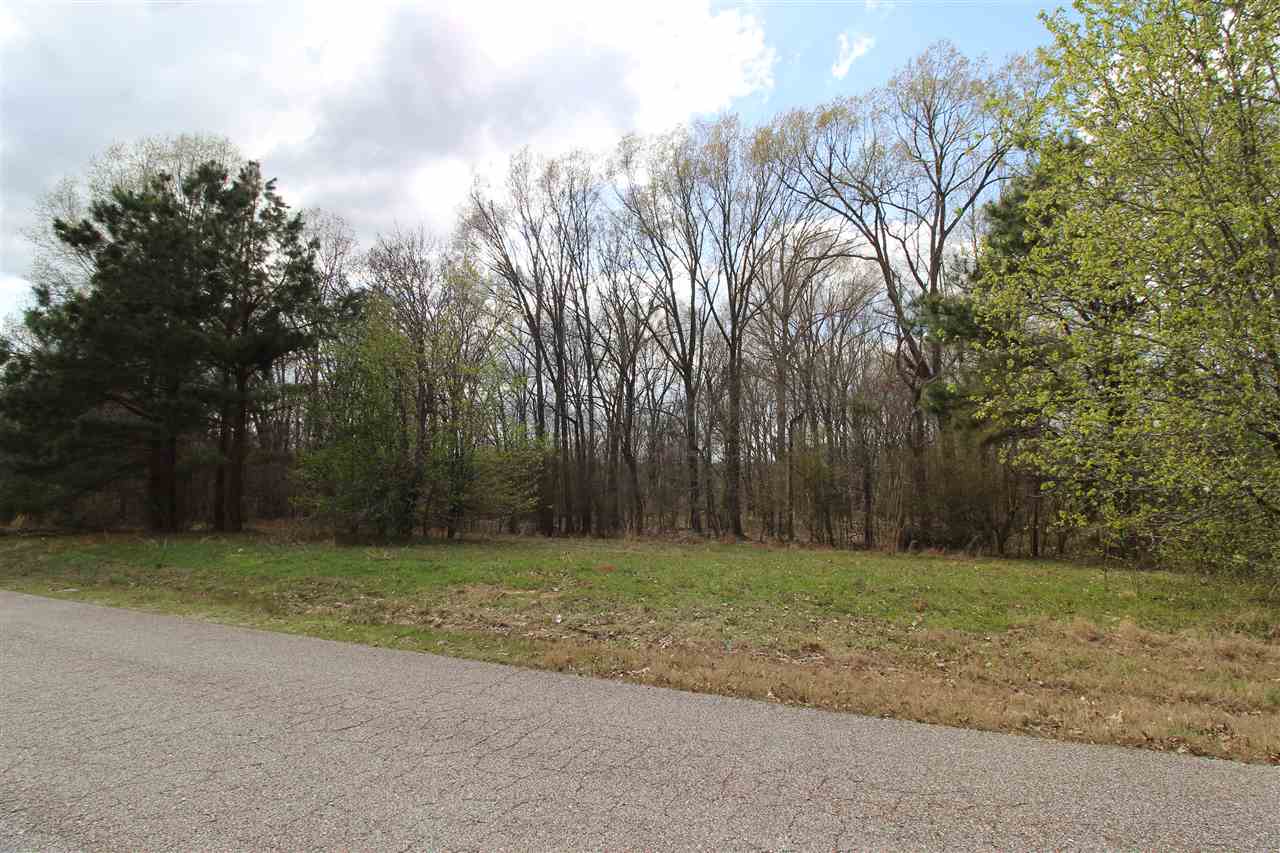 0 Grove Road Collierville, TN 38017 - Photo 20 of 23 Gallery Image 20