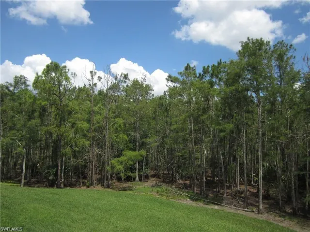 a view of a green field