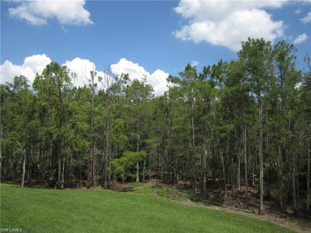 7960 Preserve Circle, Unit 634 Naples, FL 34119 - Photo 10 of 12 a view of a green field