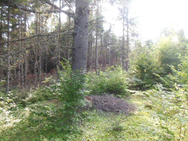 R6-05 Mattmiscontis Road Howland, ME 04448 - Photo 2 of 9 DSCN3385