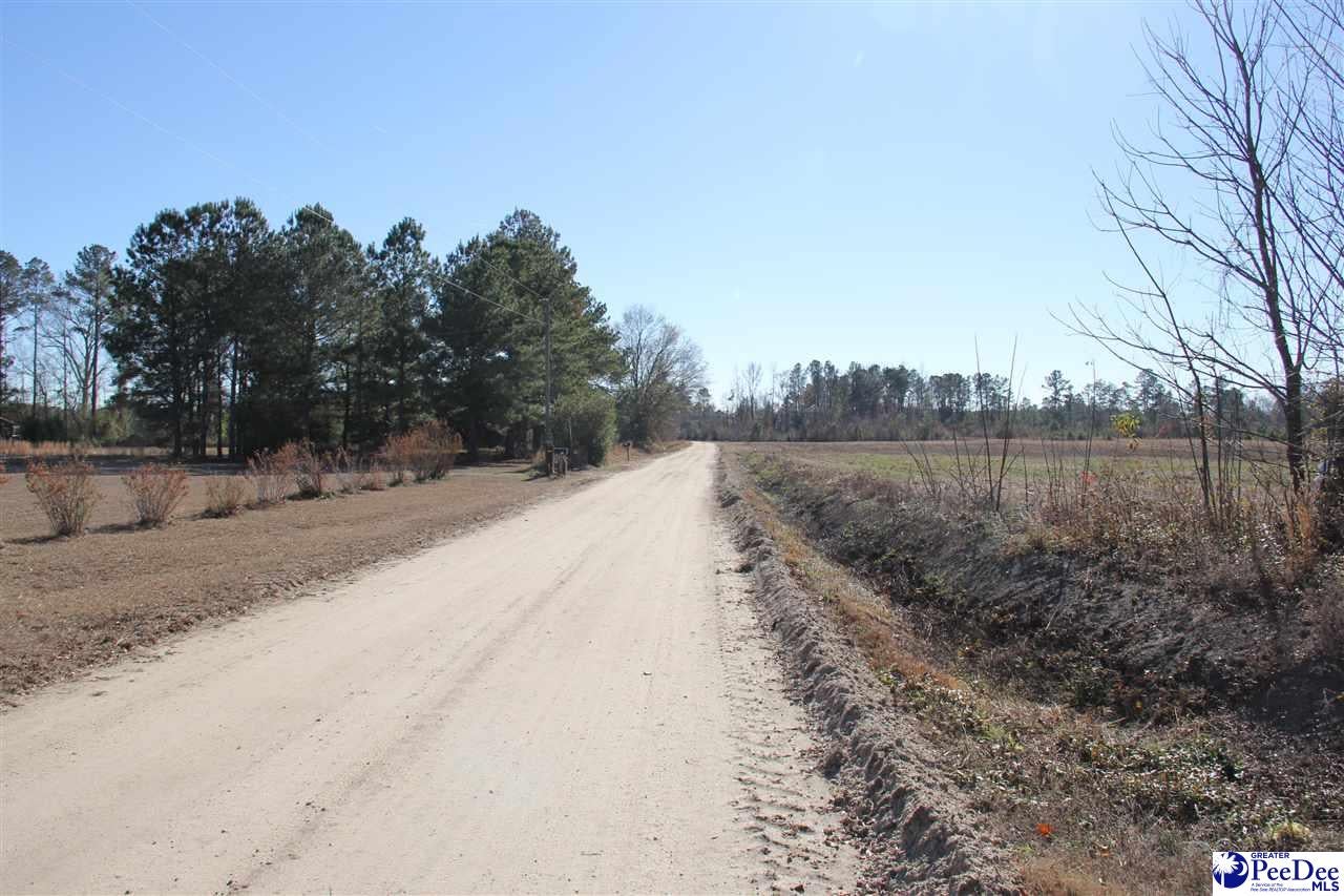 0 Country Manor Road Lamar, SC 29069 - Photo 6 of 15 Gallery Image 6