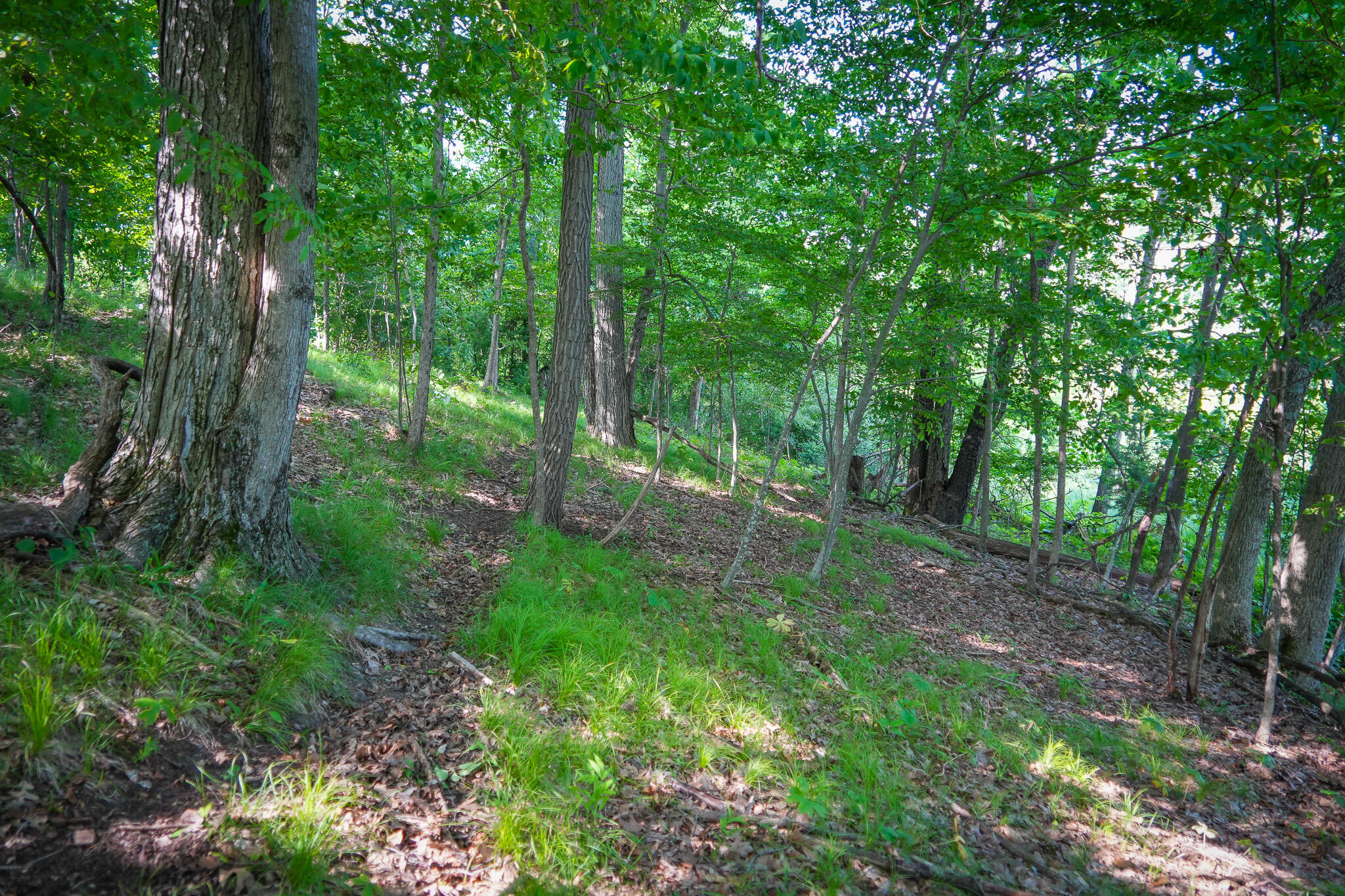 5100 Long Lake Road Reading, MI 49274 - Photo 54 of 63 DSC00706