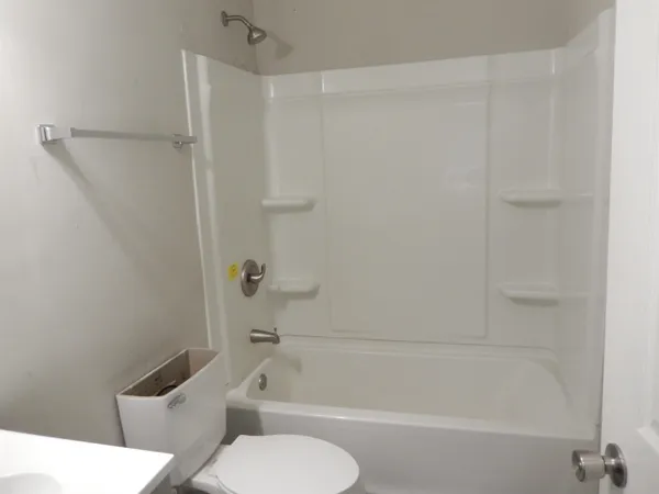 a view of yard covered with trees