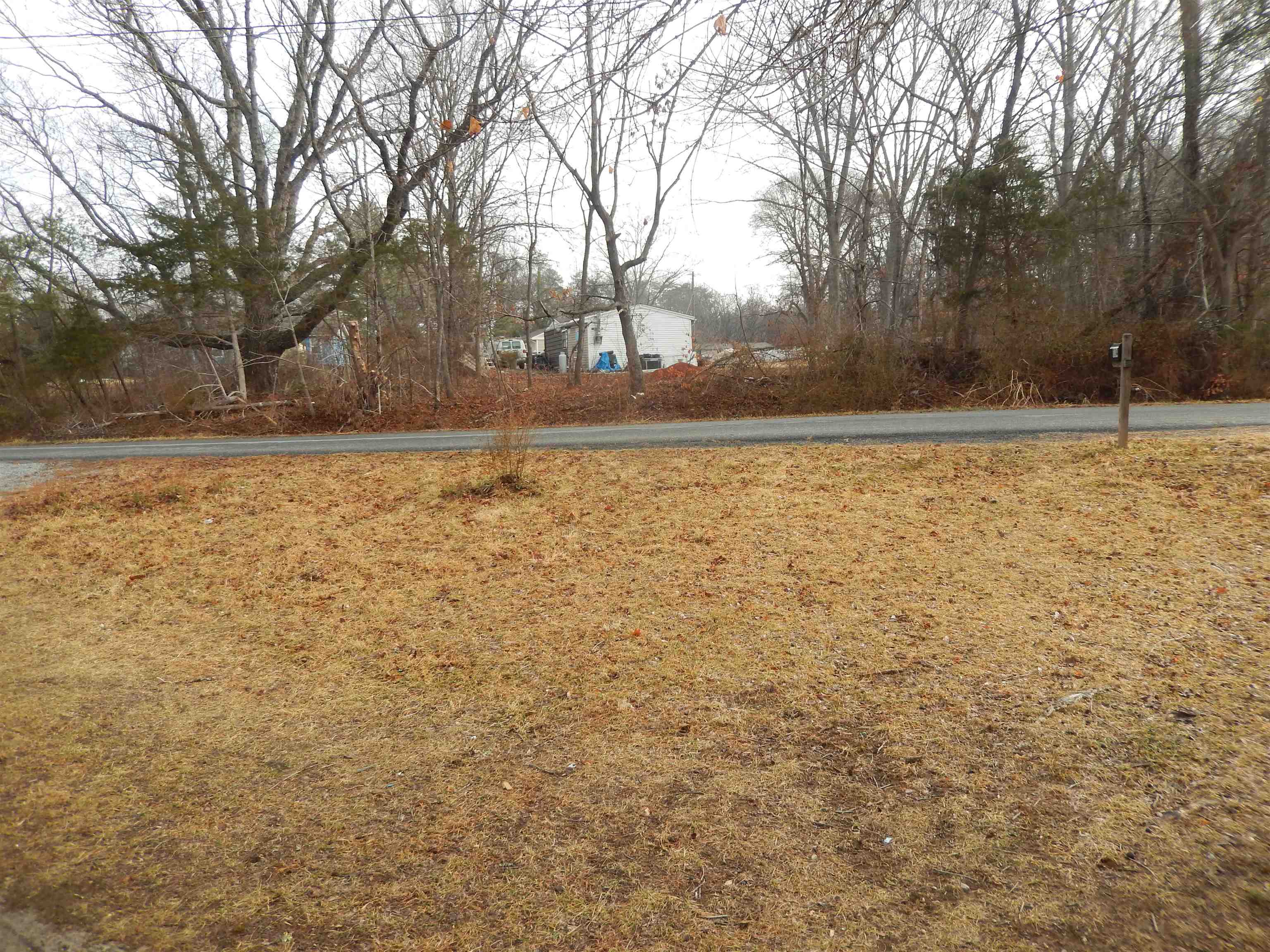114 Marshall Road Madison, VA 22727 - Photo 14 of 16 a view of yard covered with trees