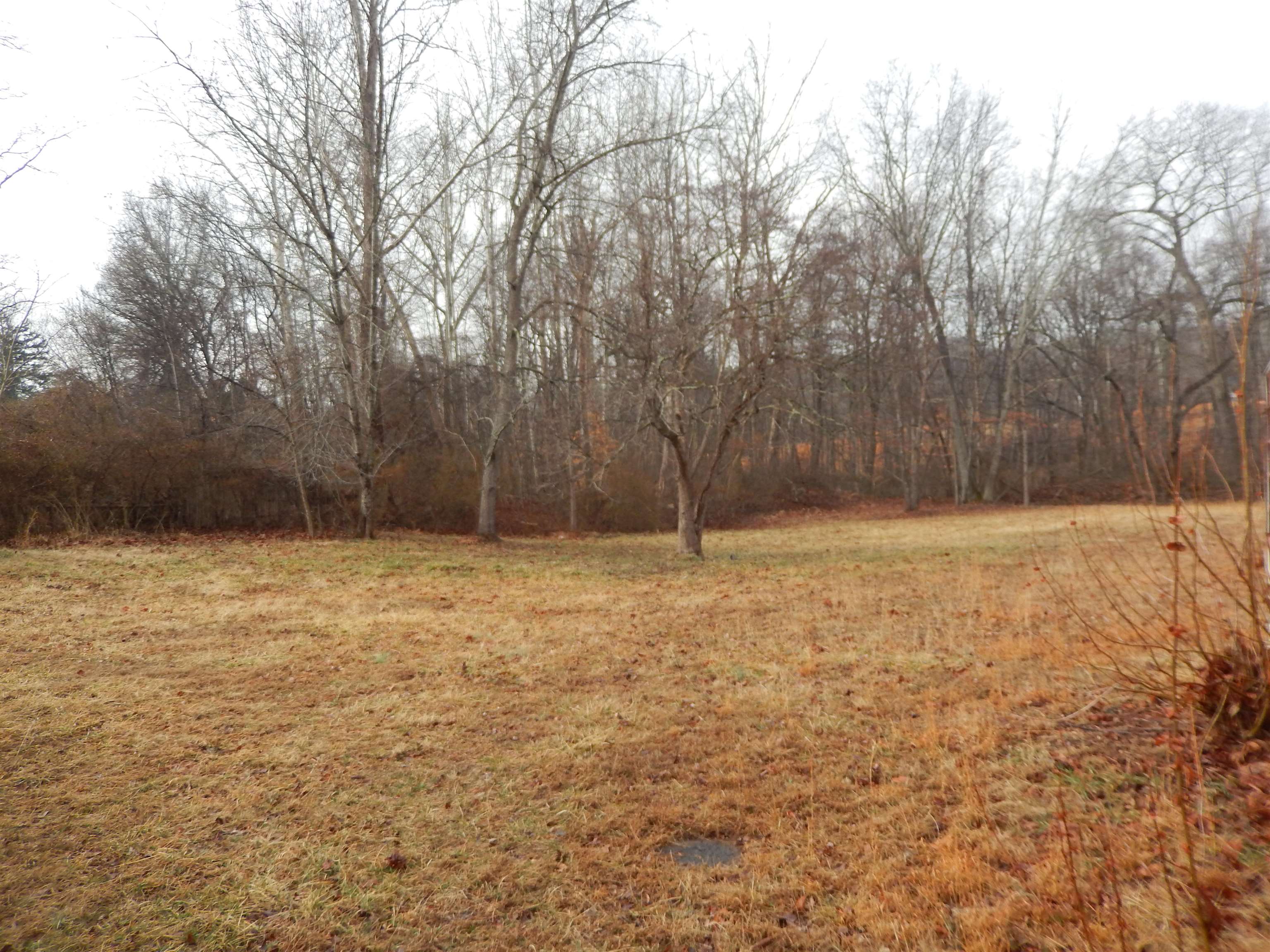 114 Marshall Road Madison, VA 22727 - Photo 4 of 16