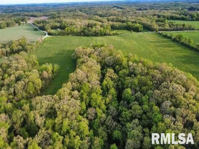 0 East Pony Road Marietta, IL 61459 - Photo 11 of 24