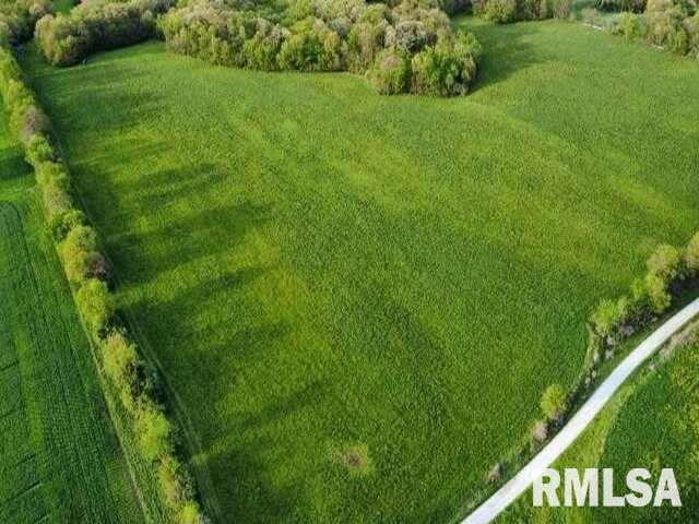 0 East Pony Road Marietta, IL 61459 - Photo 12 of 24