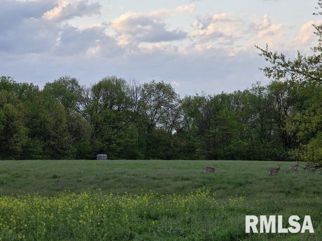 0 East Pony Road Marietta, IL 61459 - Photo 18 of 24