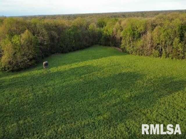 0 East Pony Road Marietta, IL 61459 - Photo 7 of 24