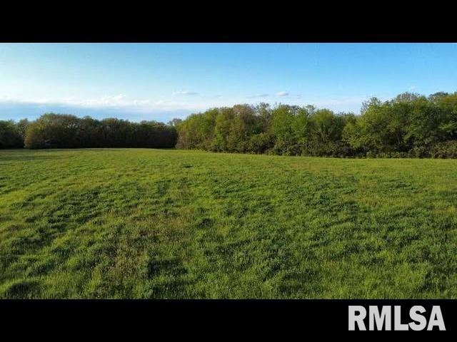 0 East Pony Road Marietta, IL 61459 - Photo 8 of 24