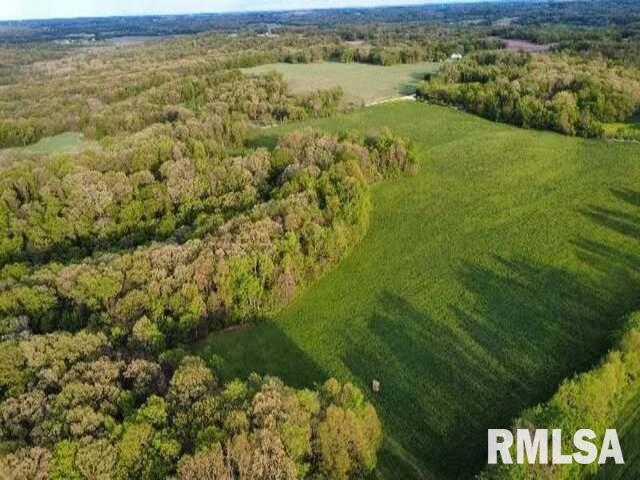 0 East Pony Road Marietta, IL 61459 - Photo 9 of 24