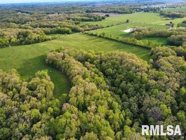 0 East Pony Road Marietta, IL 61459 - Photo 10 of 24