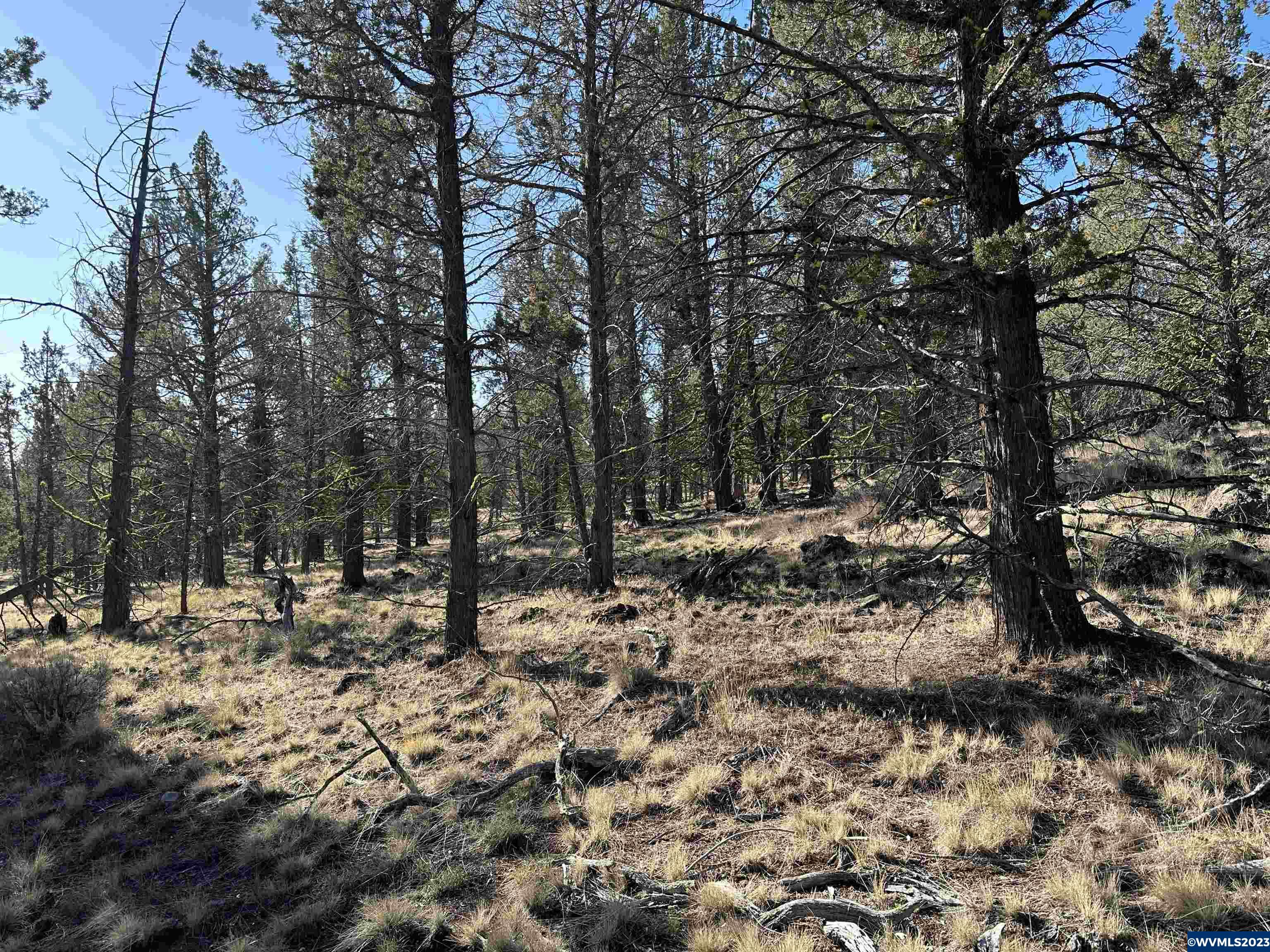 1300 Fishhole Creek Road Bly, OR 97622 - Photo 8 of 25