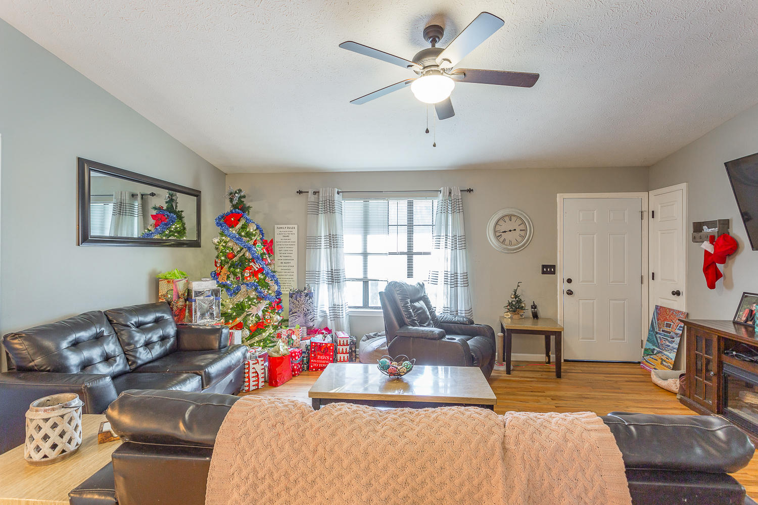 1580 Dripping Springs Road LaFayette, GA 30728 - Photo 14 of 28 1580 Dripping Springs HD -17
