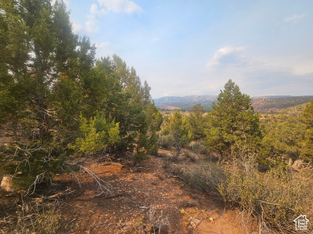 915 South Stagecoach Road, Unit 8 Fruitland, UT 84027 - Photo 23 of 40 Beautiful Property Views - Nice Large Trees!