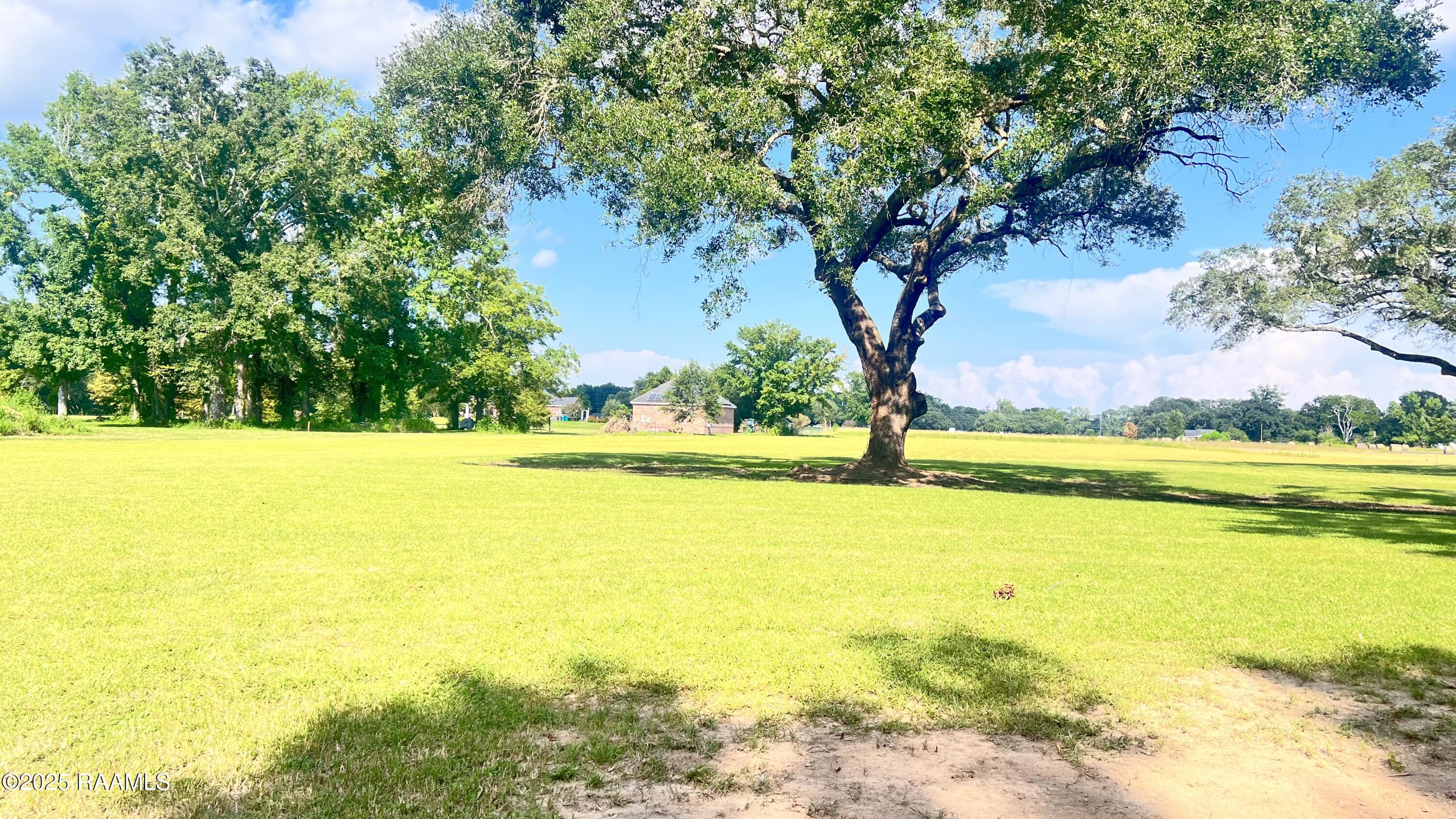 0 Begnaud Road Sunset, LA 70584 - Photo 5 of 7 IMG_6721