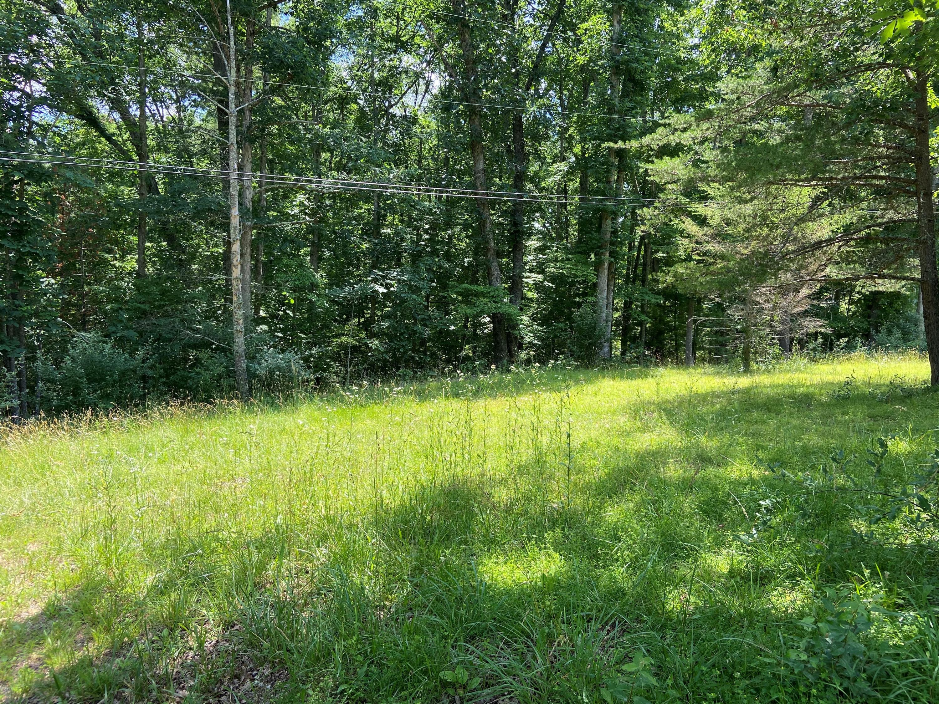 Vago Road Lewisburg, WV 24901 - Photo 1 of 3 Gallery Image 1