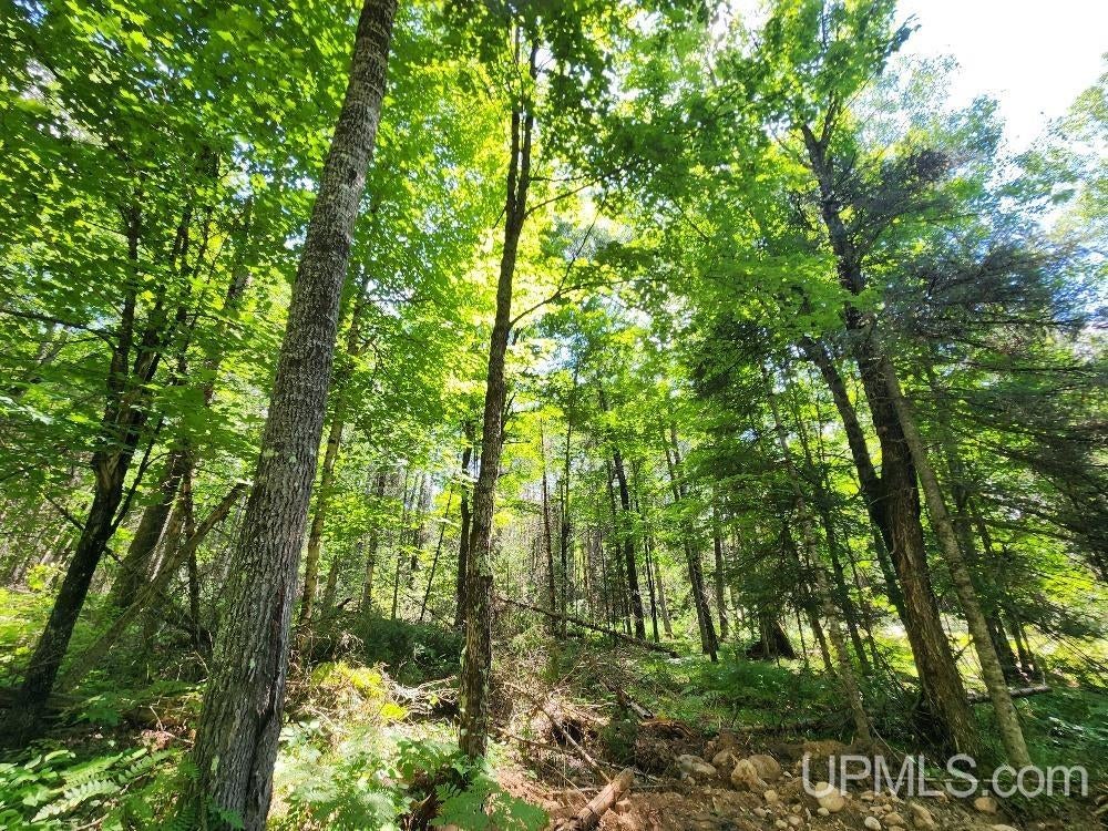 2.63-acres Sheltrow Road, Unit LOT 6PAINT RIVER HIGHLAN Crystal Falls, MI 49920 - Photo 36 of 53 Gallery Image 36