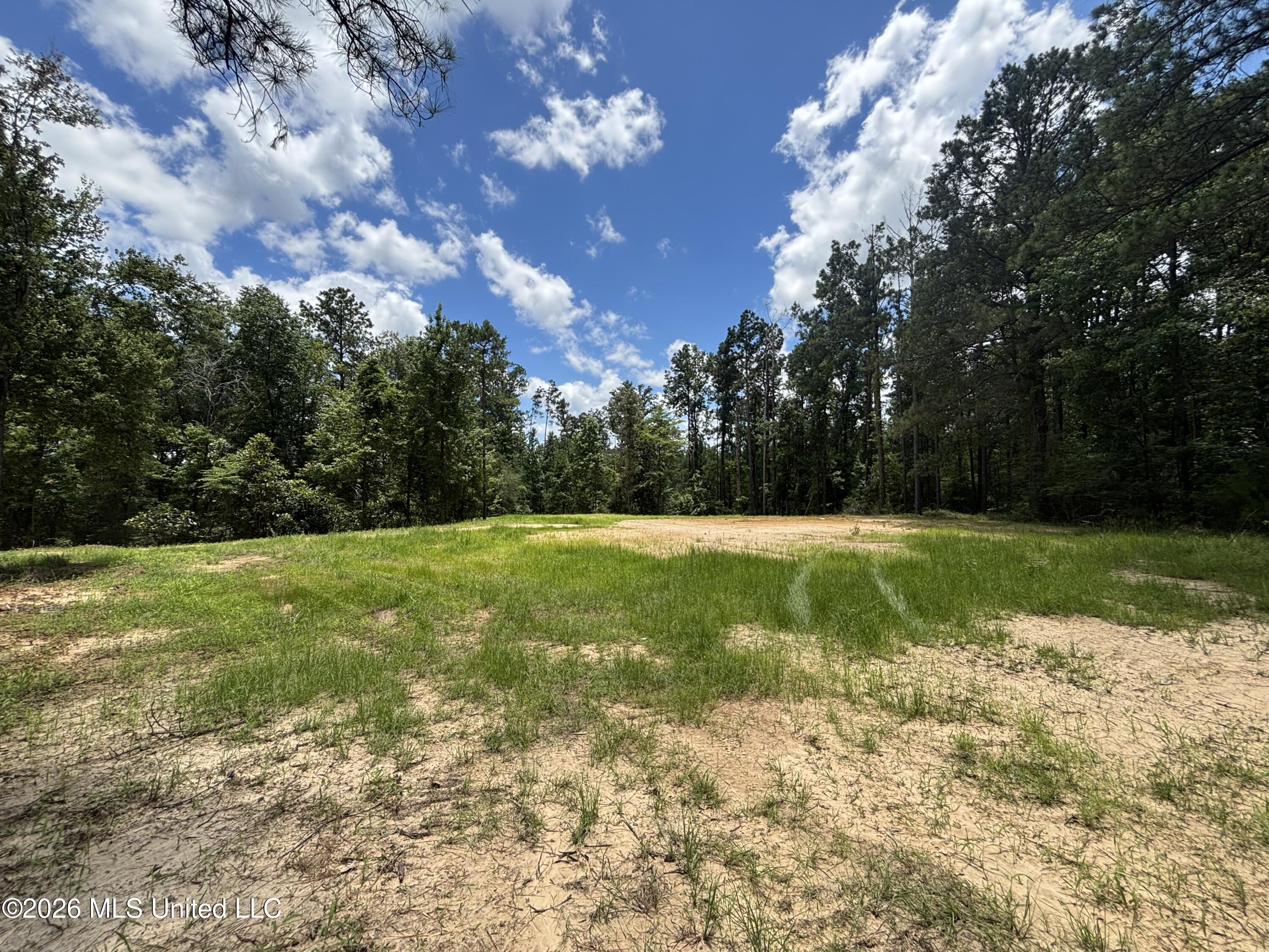 Stump Road Crosby, MS 39633 - Photo 36 of 60 IMG_4377