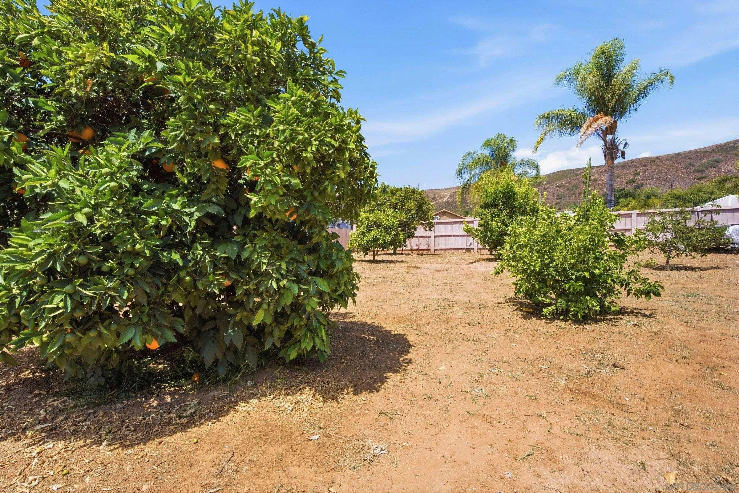 23429 Green Glen Road Ramona, CA 92065 - Photo 33 of 33