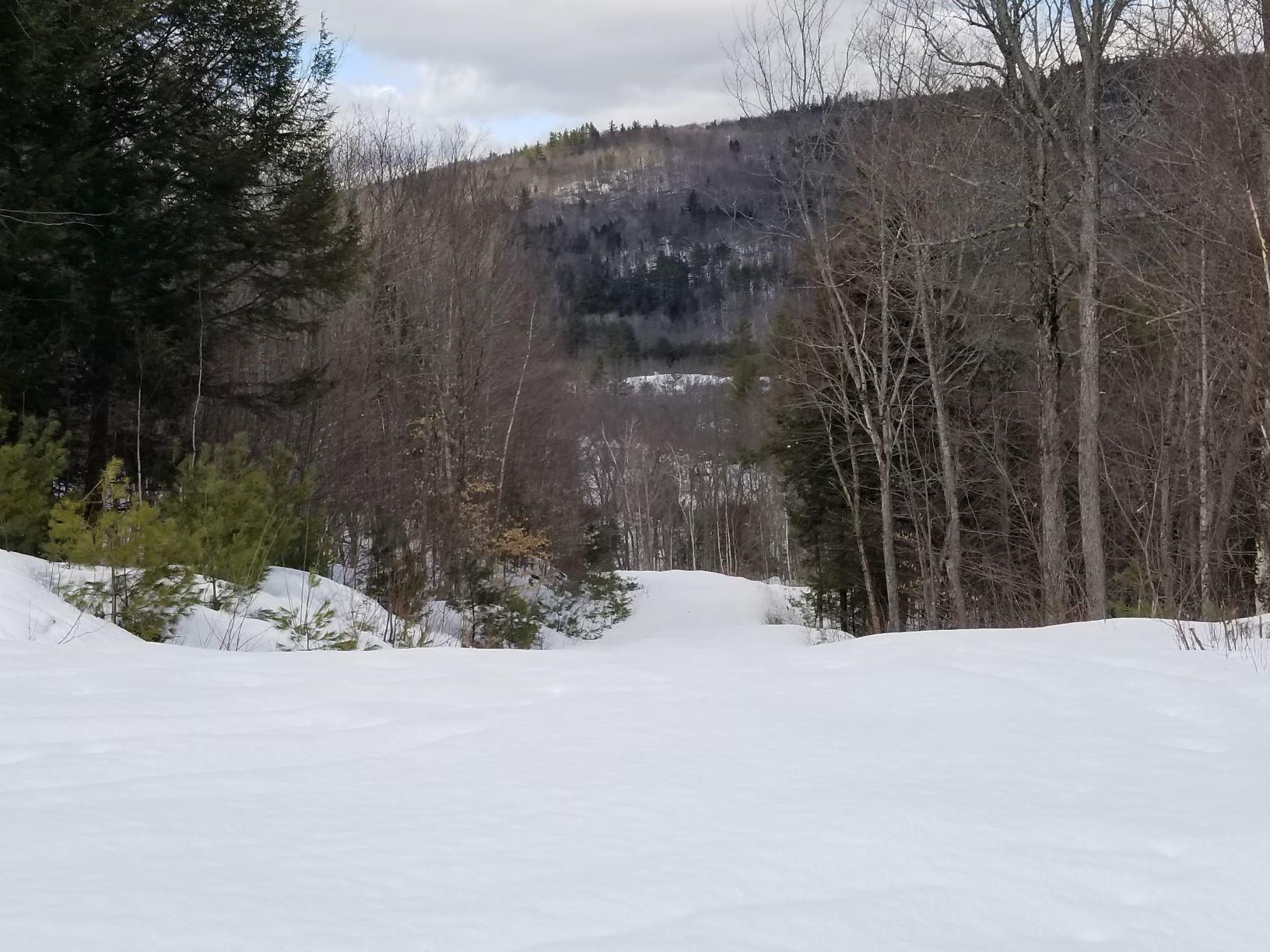 0 Rangeley Road Avon, ME 04966 - Photo 23 of 62 Access road 1