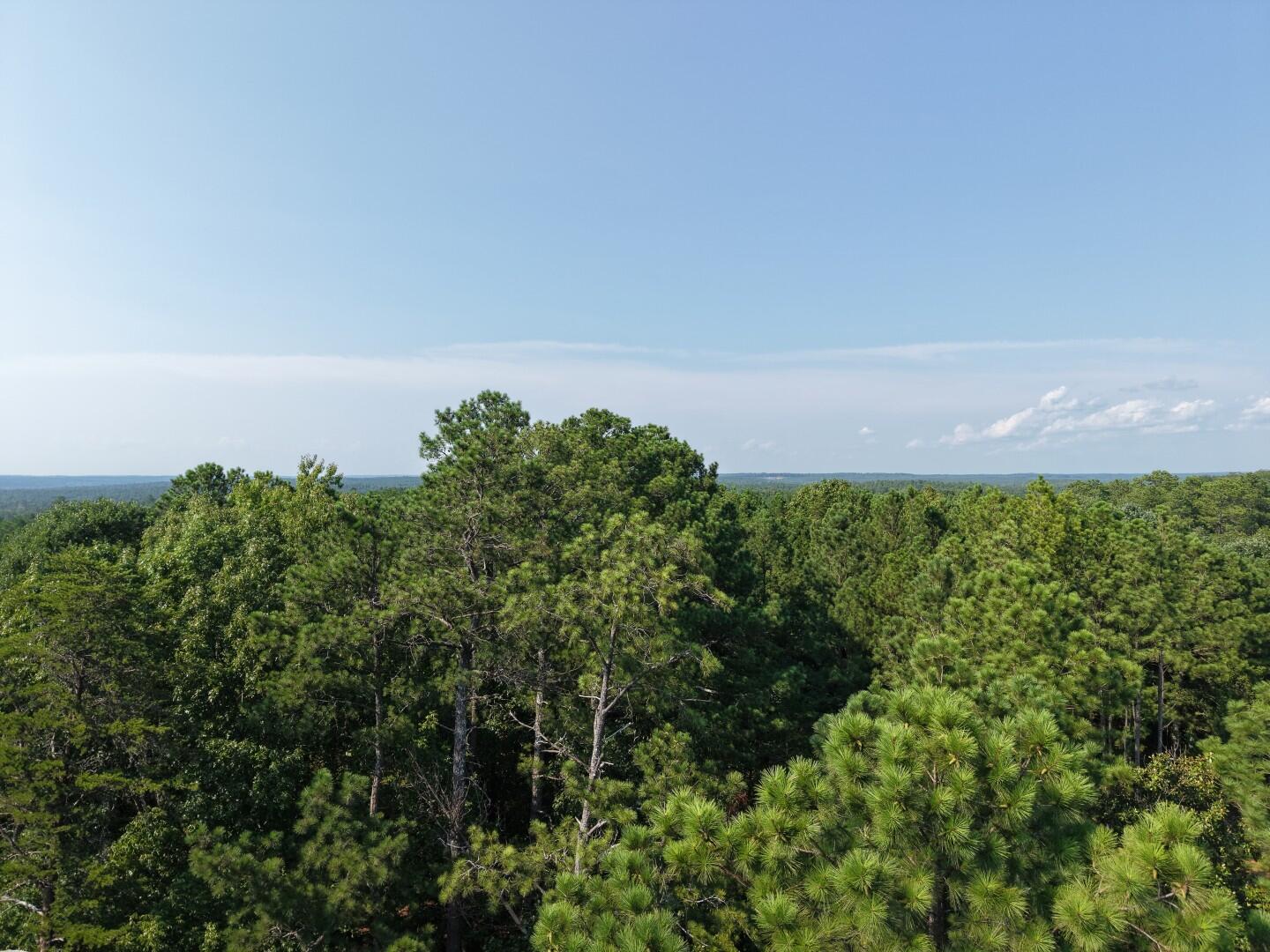 3096 State Rd S-20-33, Unit PARCEL 1 Blair, SC 29015 - Photo 5 of 32 DJI_20260811165352_0239_D (Large)