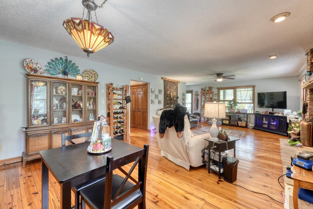 1908 Riverside Drive Hiawassee, GA 30546 - Photo 23 of 75