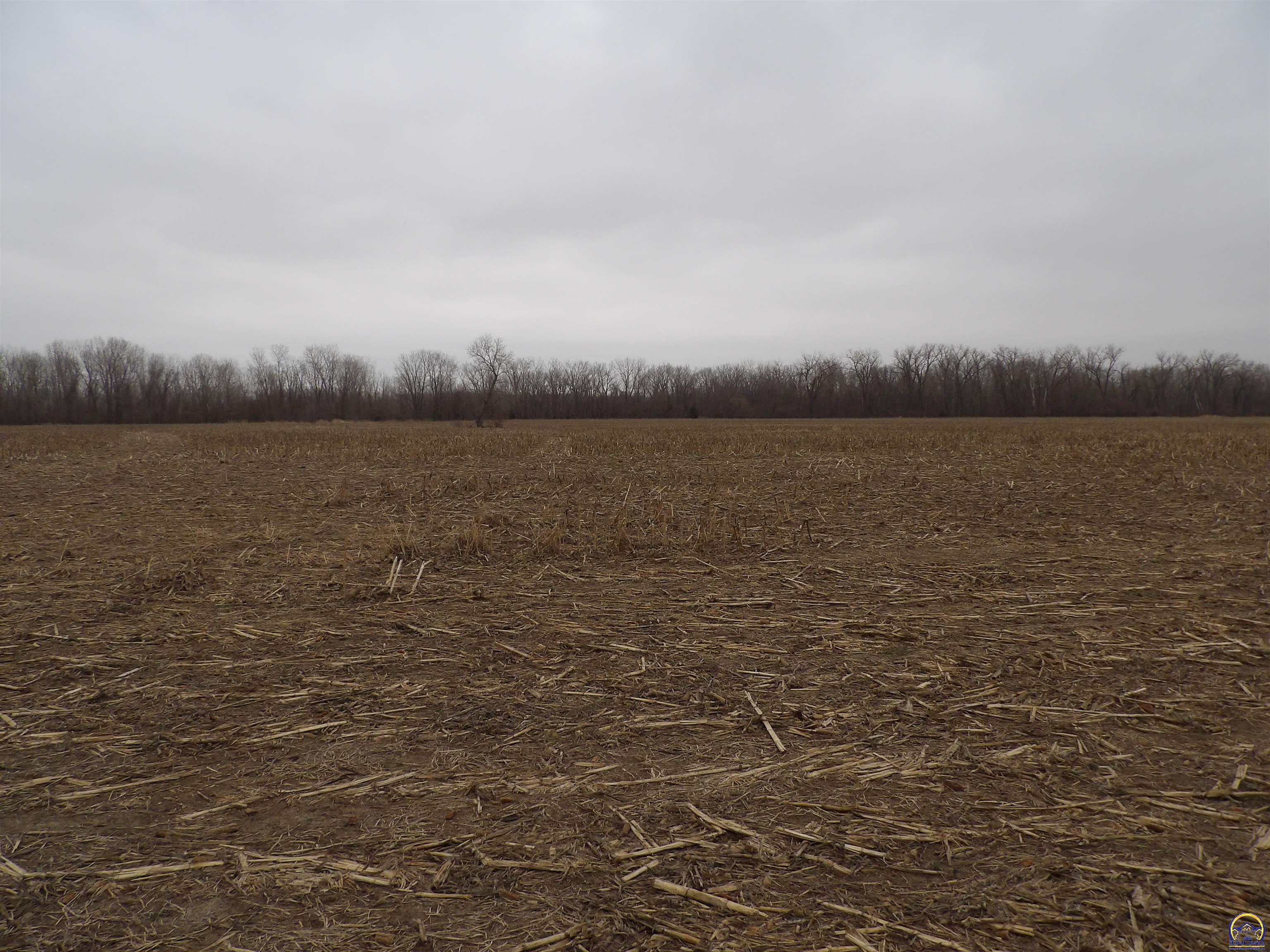 0 Wabaunsee Rd Street Maple Hill, KS 66507 - Photo 1 of 1 Gallery Image 1