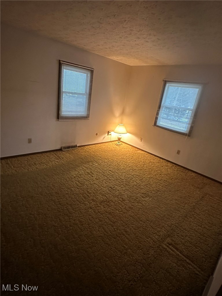 97 West Howe Road Tallmadge, OH 44278 - Photo 32 of 35 Unfurnished room featuring carpet flooring and a textured ceiling