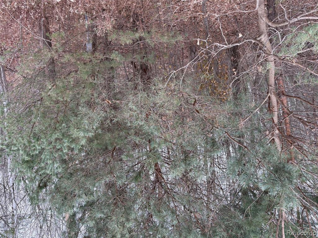 0 Lapeer Road North Street, MI 48049 - Photo 2 of 2