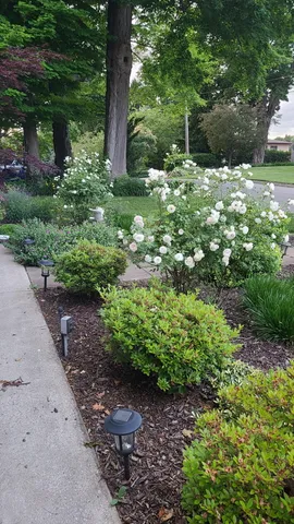 $859,000 | 7030 North Maple Drive, Coloma, MI 49038