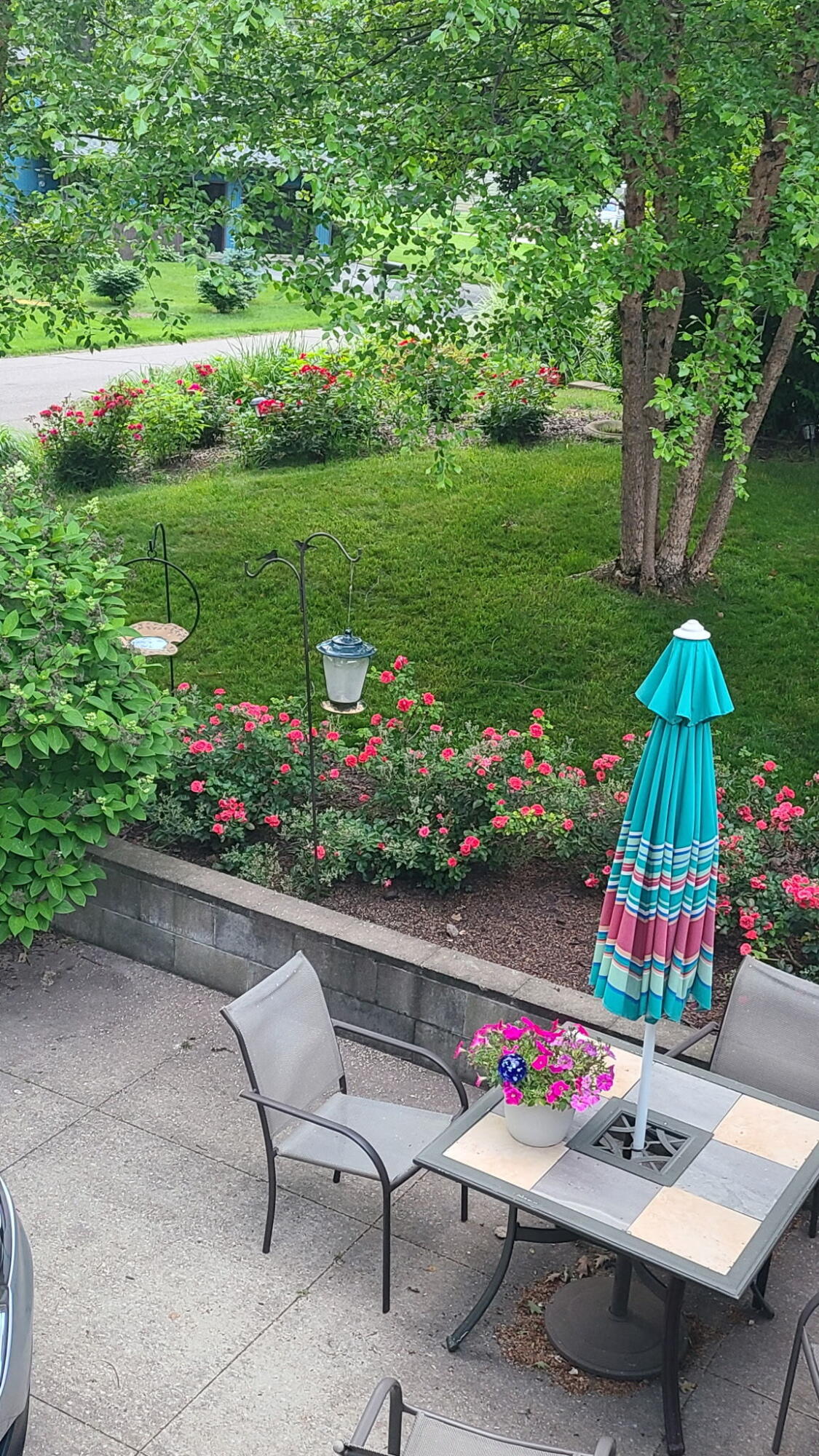 7030 North Maple Drive Coloma, MI 49038 - Photo 66 of 66 1000003492