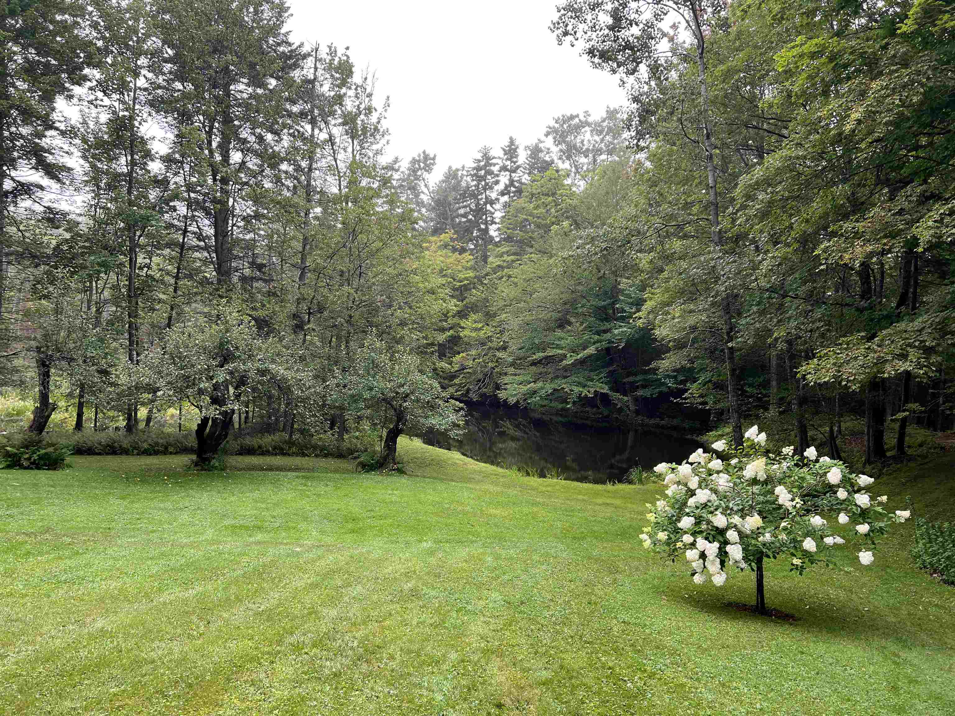 8117 Windham Hill Road Windham, VT 05359 - Photo 28 of 37