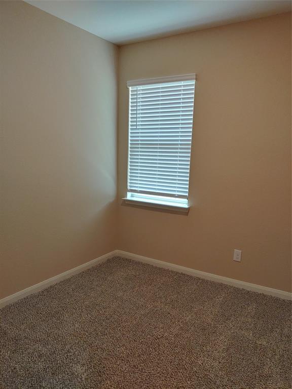 280 Moonstone Way Princeton, TX 75407 - Photo 6 of 17 Spare room with a wealth of natural light and carpet flooring