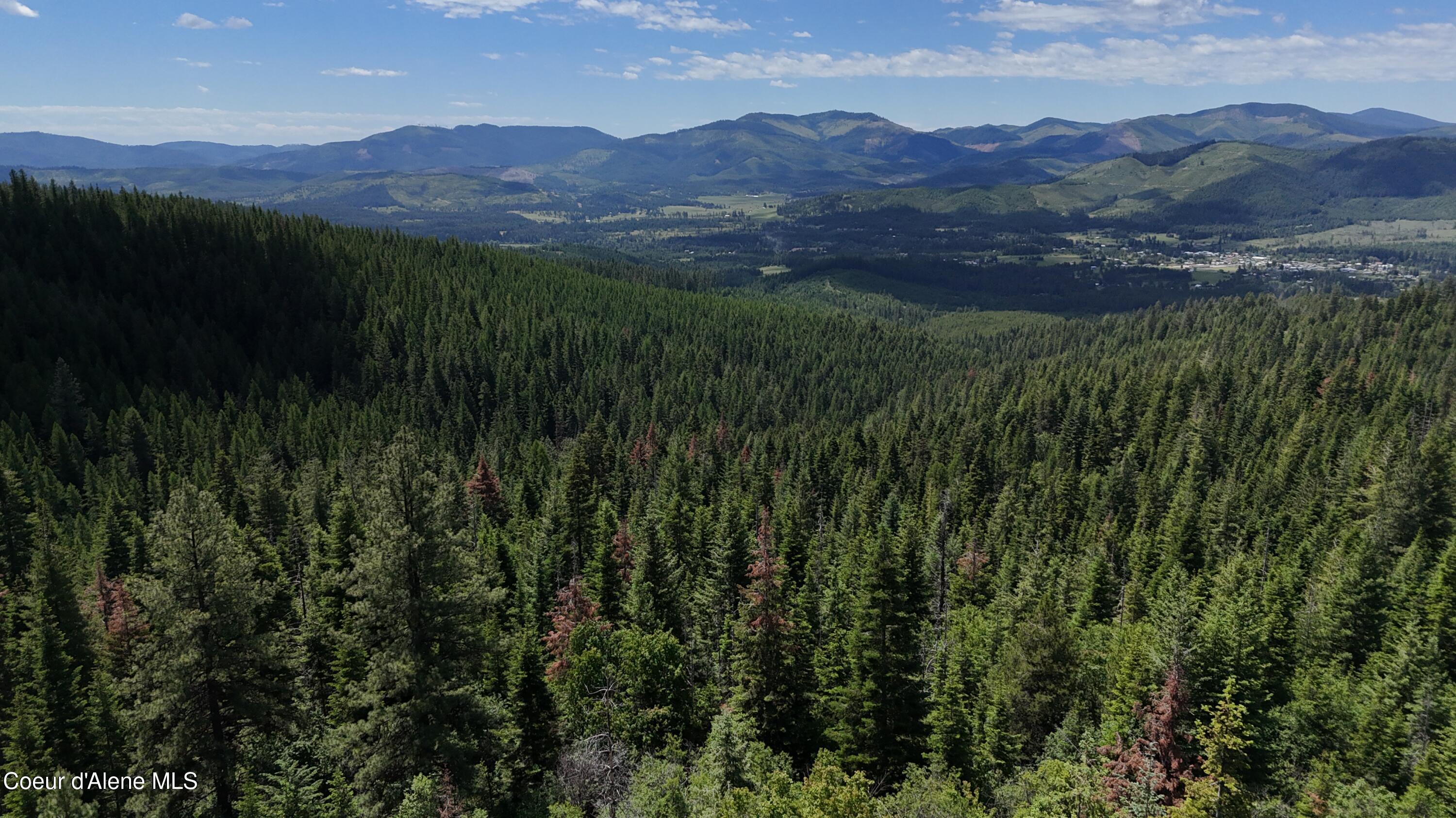 2407 Crystal Peak Road Fernwood, ID 83830 - Photo 6 of 9 1