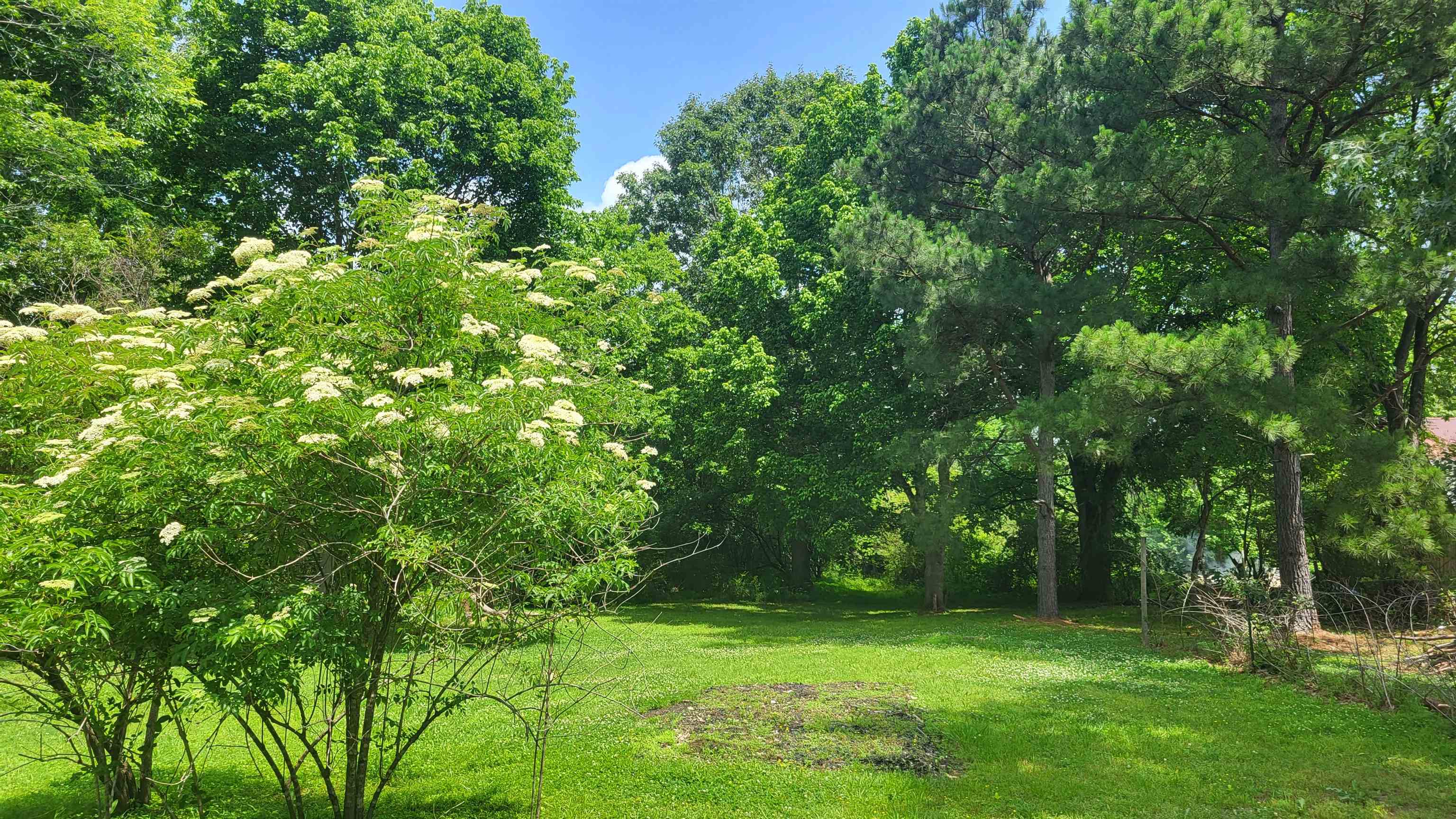 245 Ecology Loop Eads, TN 38028 - Photo 23 of 23