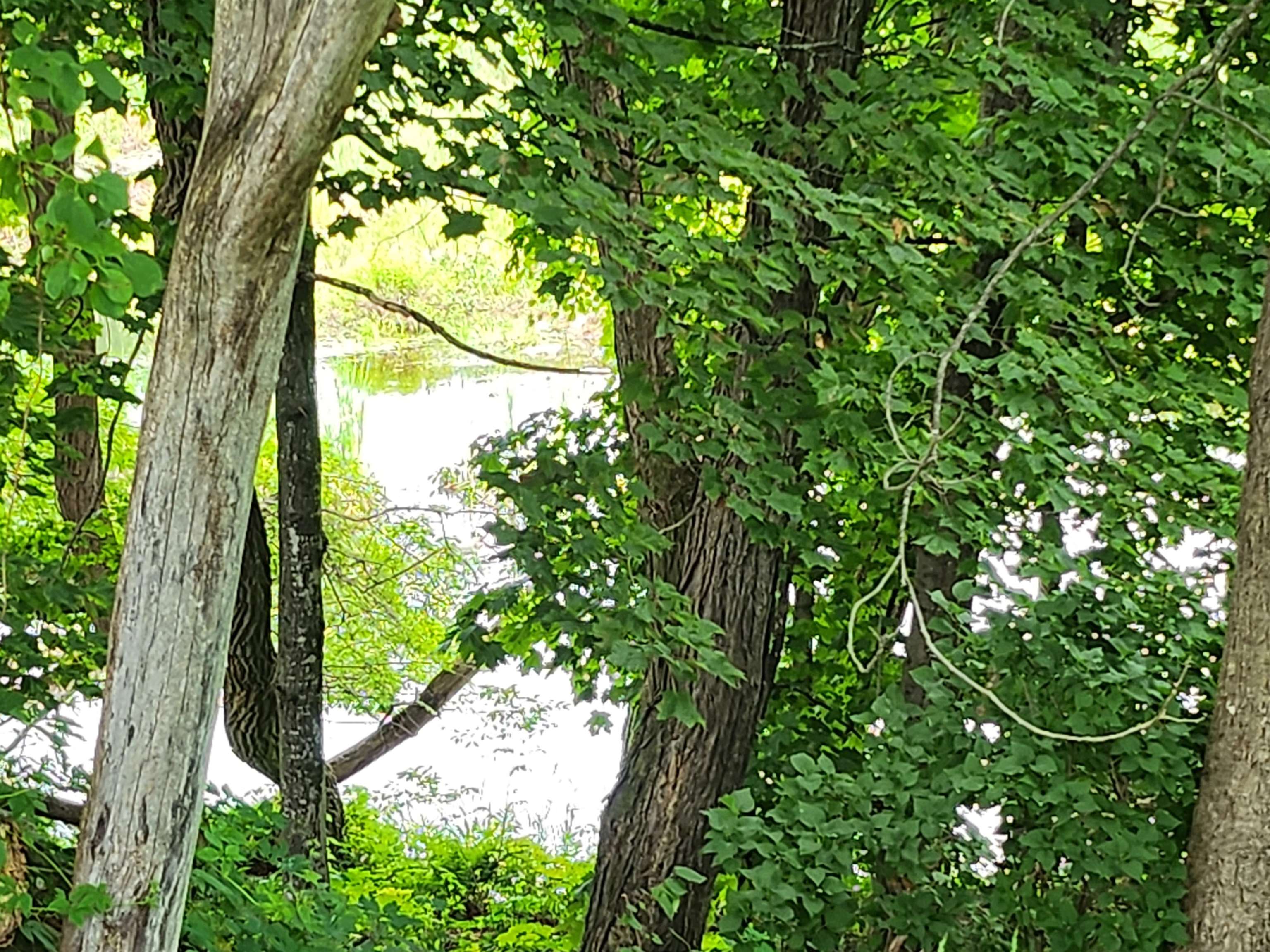 126 Meredith Center Road Meredith, NH 03253 - Photo 3 of 8