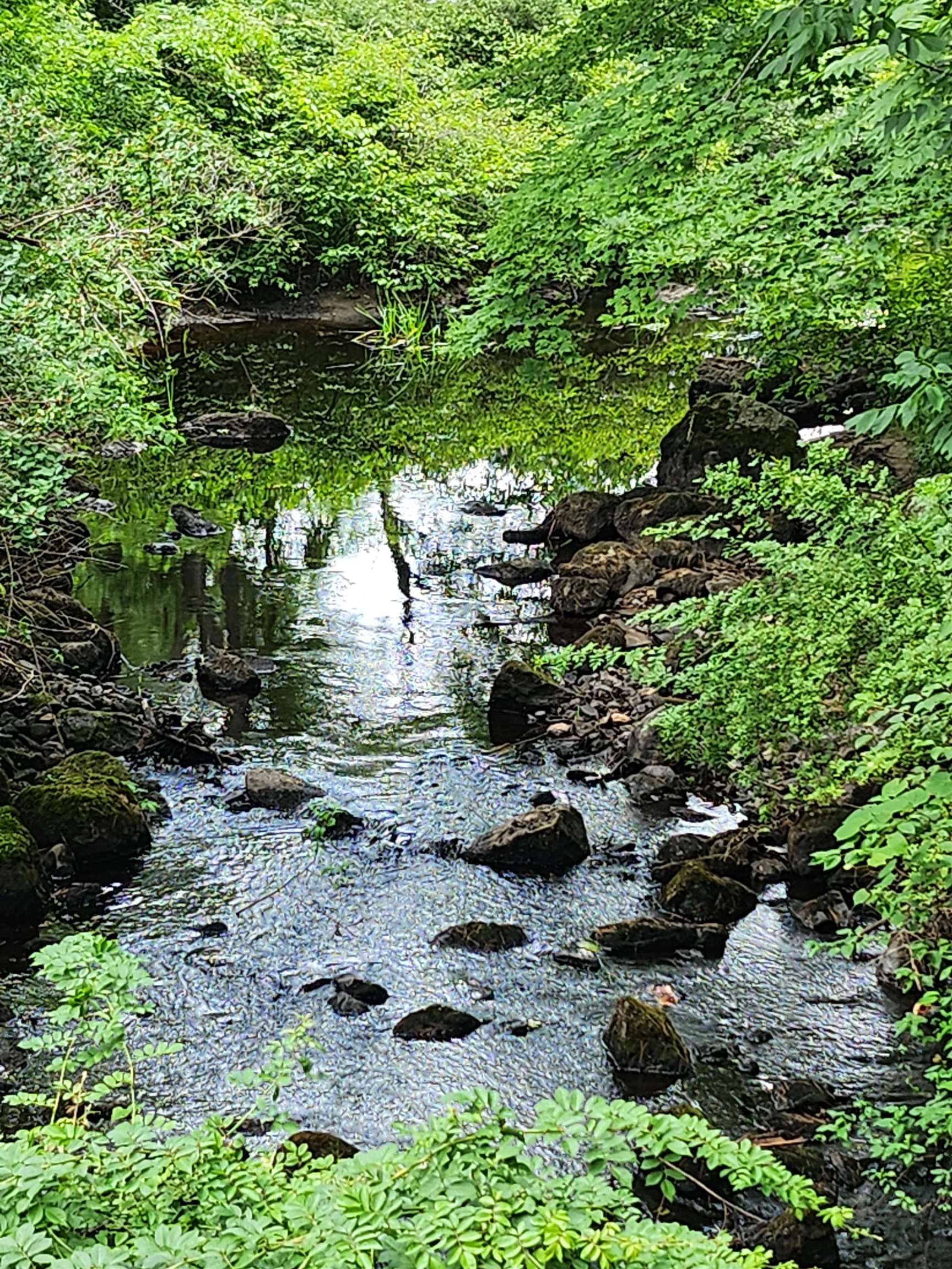 126 Meredith Center Road Meredith, NH 03253 - Photo 4 of 8